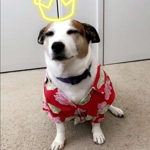 Meet your Posher, Alexandra